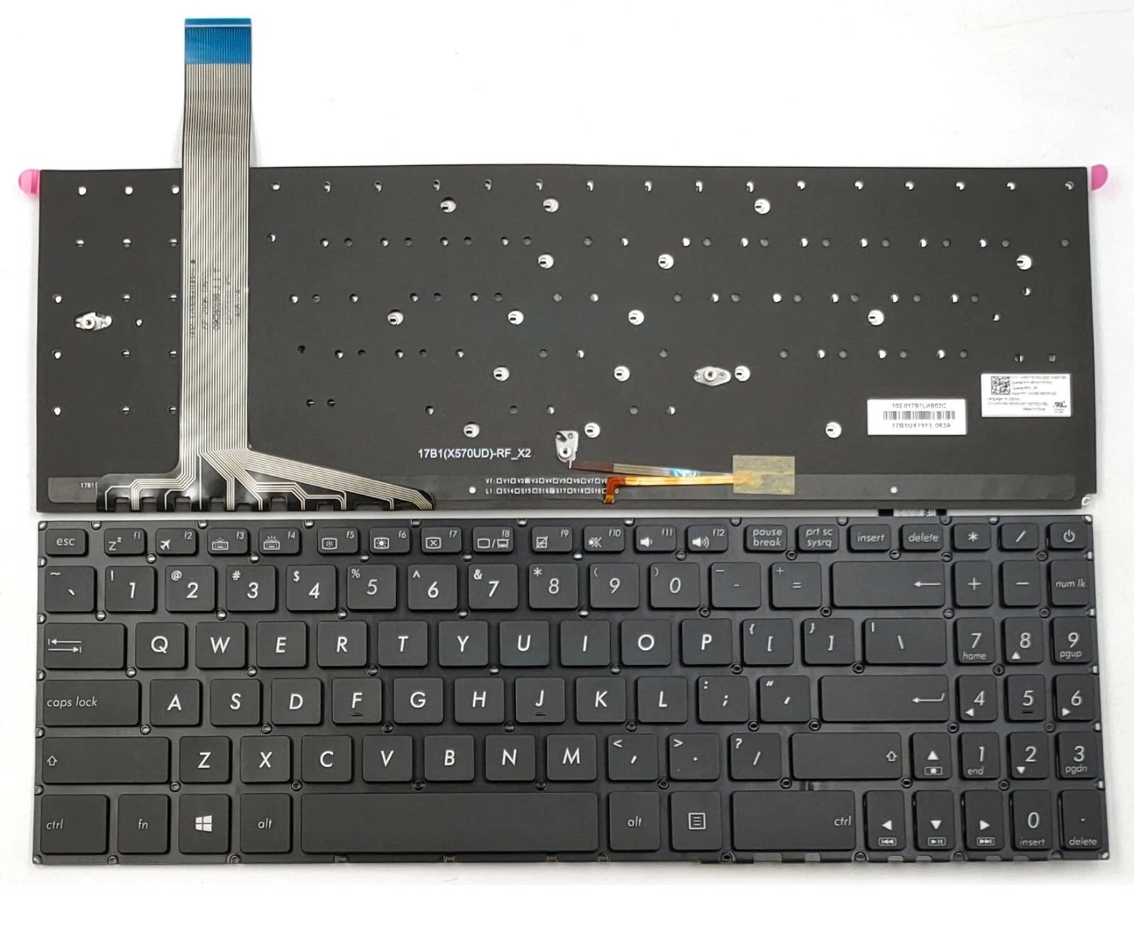 Asus FX570 Backlit Keyboard